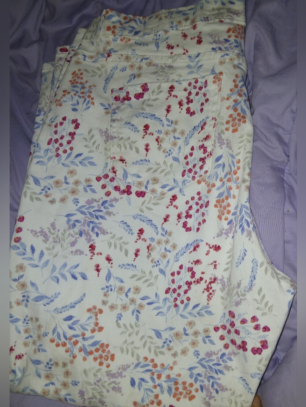 Gloria Vanderbilt White Jeans with Pink, Blue and Red Floral Print
